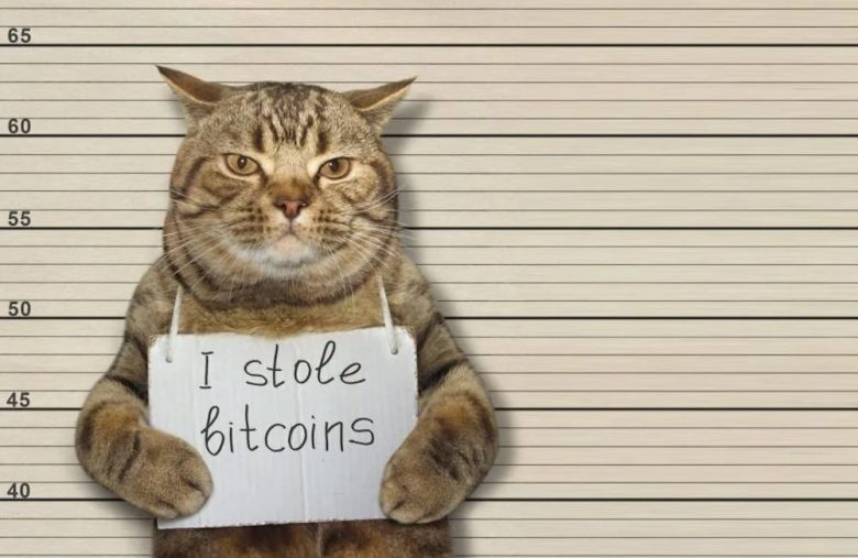 Bitcoin cat theft