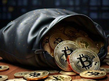 bitcoins BTC in bag